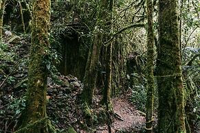 Trogon Lodge