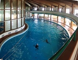 Delberg Palace Hotel