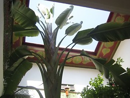 Riad Al Karama