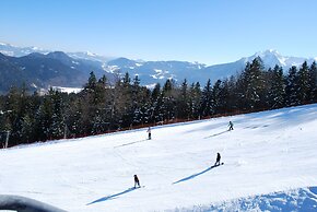 Alpengasthof Götschenalm