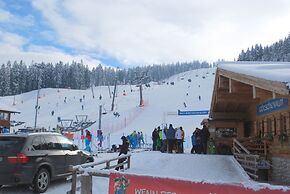 Alpengasthof Götschenalm