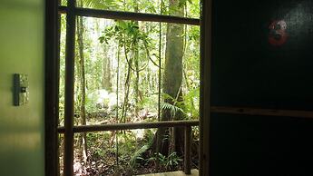 Daintree Crocodylus