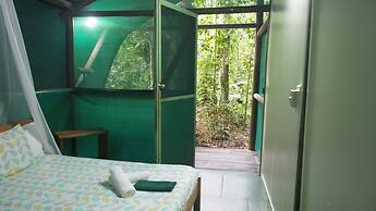 Daintree Crocodylus