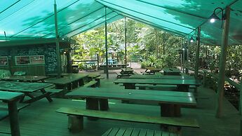 Daintree Crocodylus