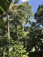 Daintree Crocodylus