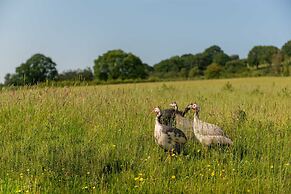 Alltybrain Farm Cottages