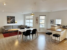 Reykjavík Central Apartments