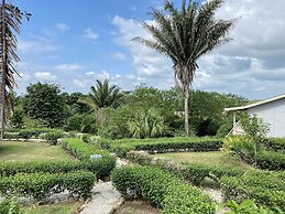 Dream Valley Belize