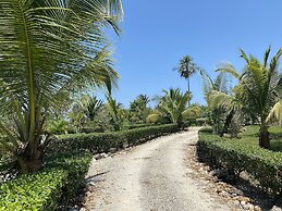Dream Valley Belize