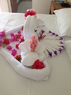 Palm View Guesthouse and Conference Centre