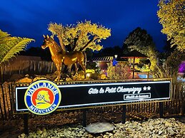 LE Petit Champigny