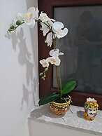Room-b&b Villa Chiara Trappitello Taormi