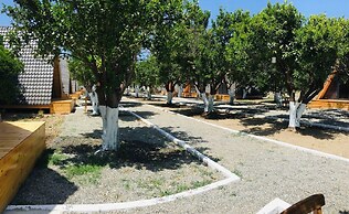 Limon Datca