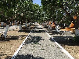 Limon Datca