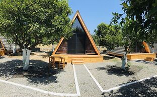 Limon Datca