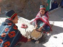 Mochilero Ostello Spiti