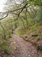 Erw-lon Farm