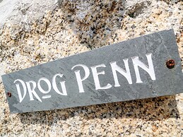 Drog Penn