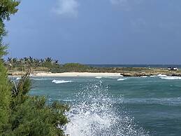 OceanBlue