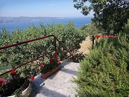 House Panorama