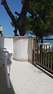 Room in B&B - Spacious Double Room by the sea