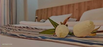 Siesta Hotel