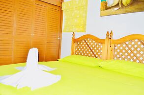 Gorgeous 22 People Villa With Pool Playacar Phase 2