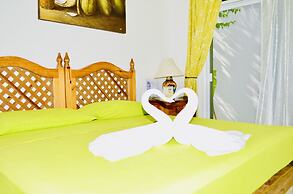 Gorgeous 22 People Villa With Pool Playacar Phase 2