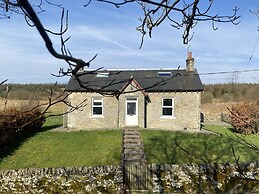 Netherraw