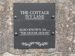 The Mouse House