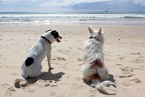 Beachcomber Seafront Pet Friendly Cottage