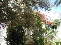 House With Garden Wala