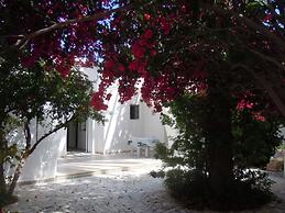 House With Garden Wala