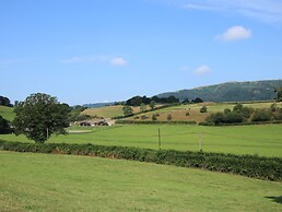 Meadow View