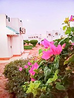 Amigo Hotel Dahab