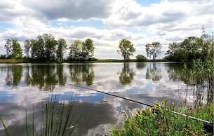 Boerenzwaluw