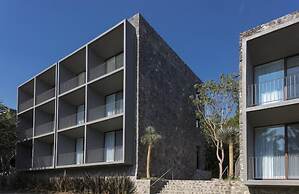 Huayacán Cuernavaca Curamoria Collection