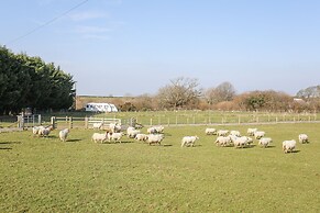 Bryn Afon Farm