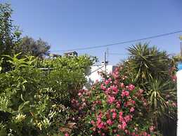Anthoula Sun