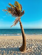 The Lookout - Coral Beach
