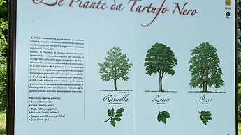 Appartamento Roero Cottage 3