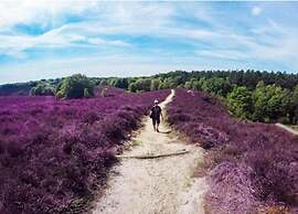 Bungalow in Veluwe Nature Park Retreat