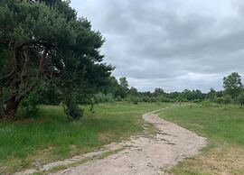 Bungalow in Veluwe Nature Park Retreat