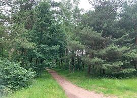 Bungalow in Veluwe Nature Park Retreat