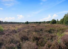 Bungalow in Veluwe Nature Park Retreat