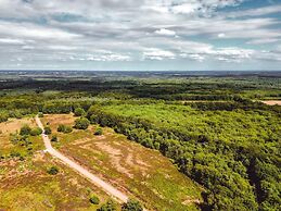 Designer Chalet in the Veluwe