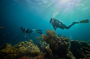 Sandals Royal Curacao - All Inclusive Couples Only