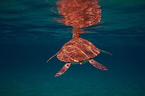Sandals Royal Curacao - All Inclusive Couples Only