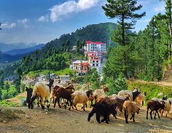 Green Hilton Hotel Shangla