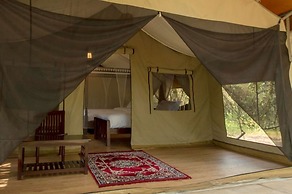 Lorian Safari Camp